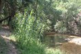 /album/queren%c3%a7a%20%26%20fonte%20benemola%20/activity-algarve-17-jpg2/